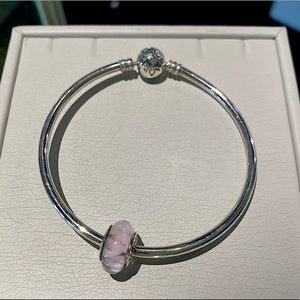 Authentic Pandora Bangle and Murano Charm